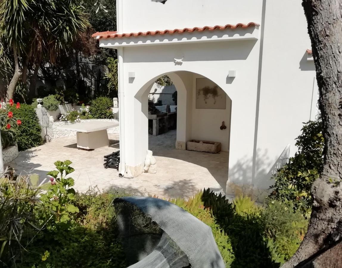 B&B L'Altare Bianco Вьесте Экстерьер фото