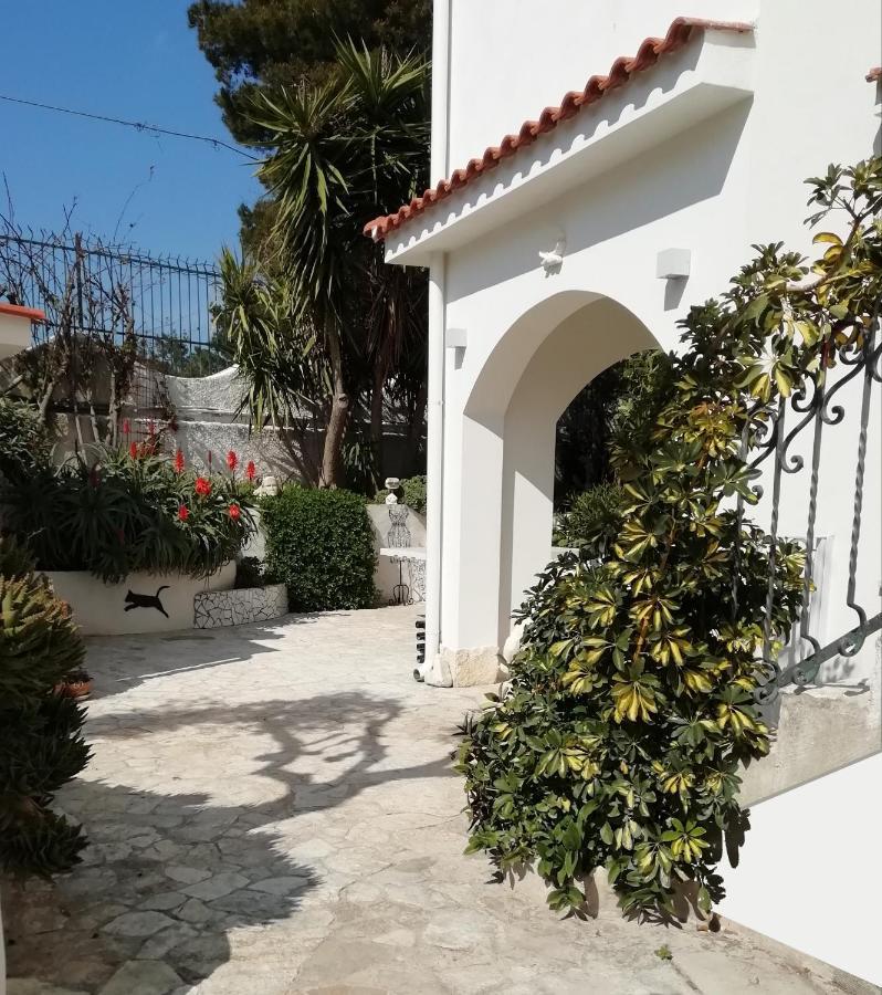 B&B L'Altare Bianco Вьесте Экстерьер фото