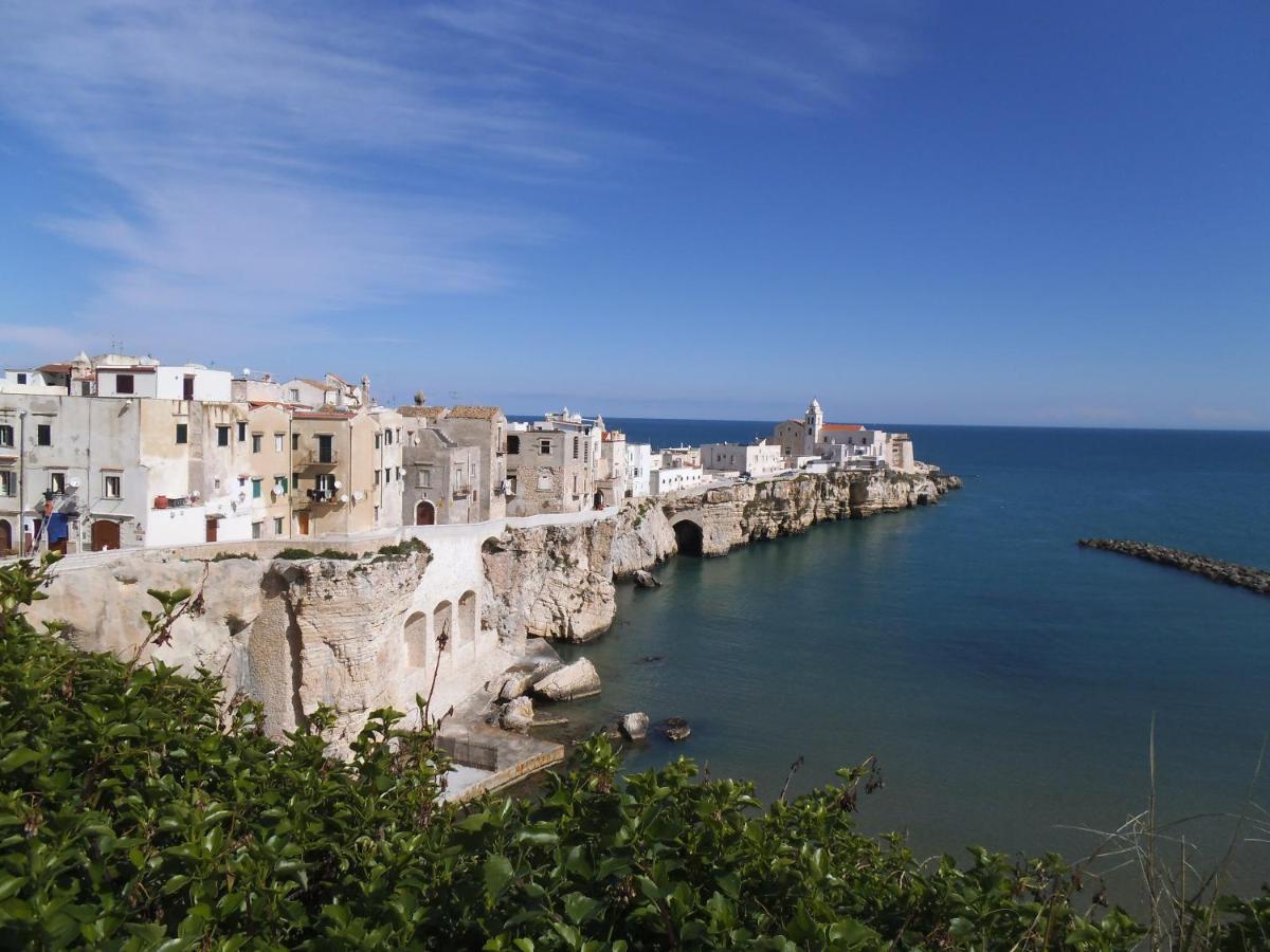 B&B L'Altare Bianco Вьесте Экстерьер фото