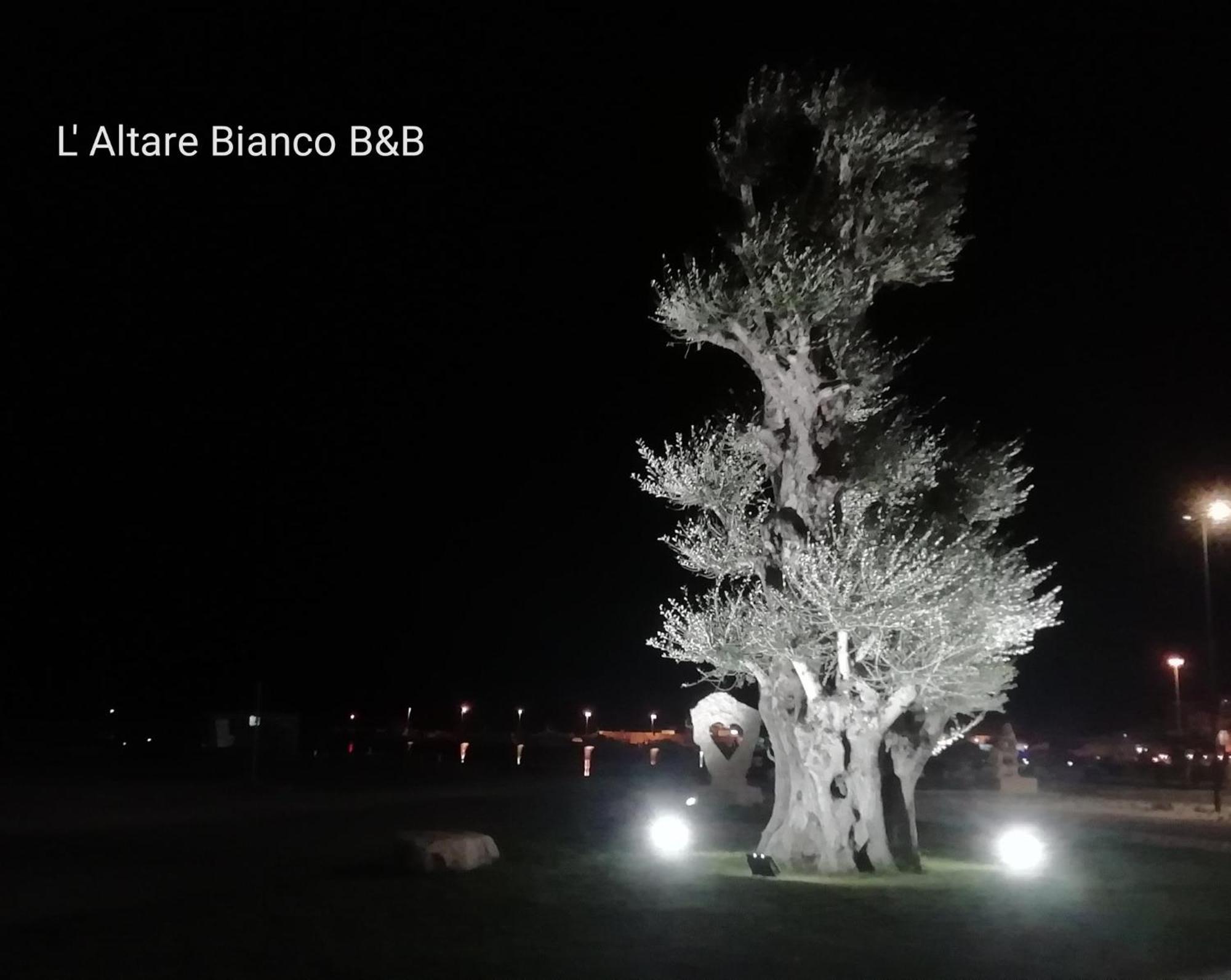 B&B L'Altare Bianco Вьесте Экстерьер фото