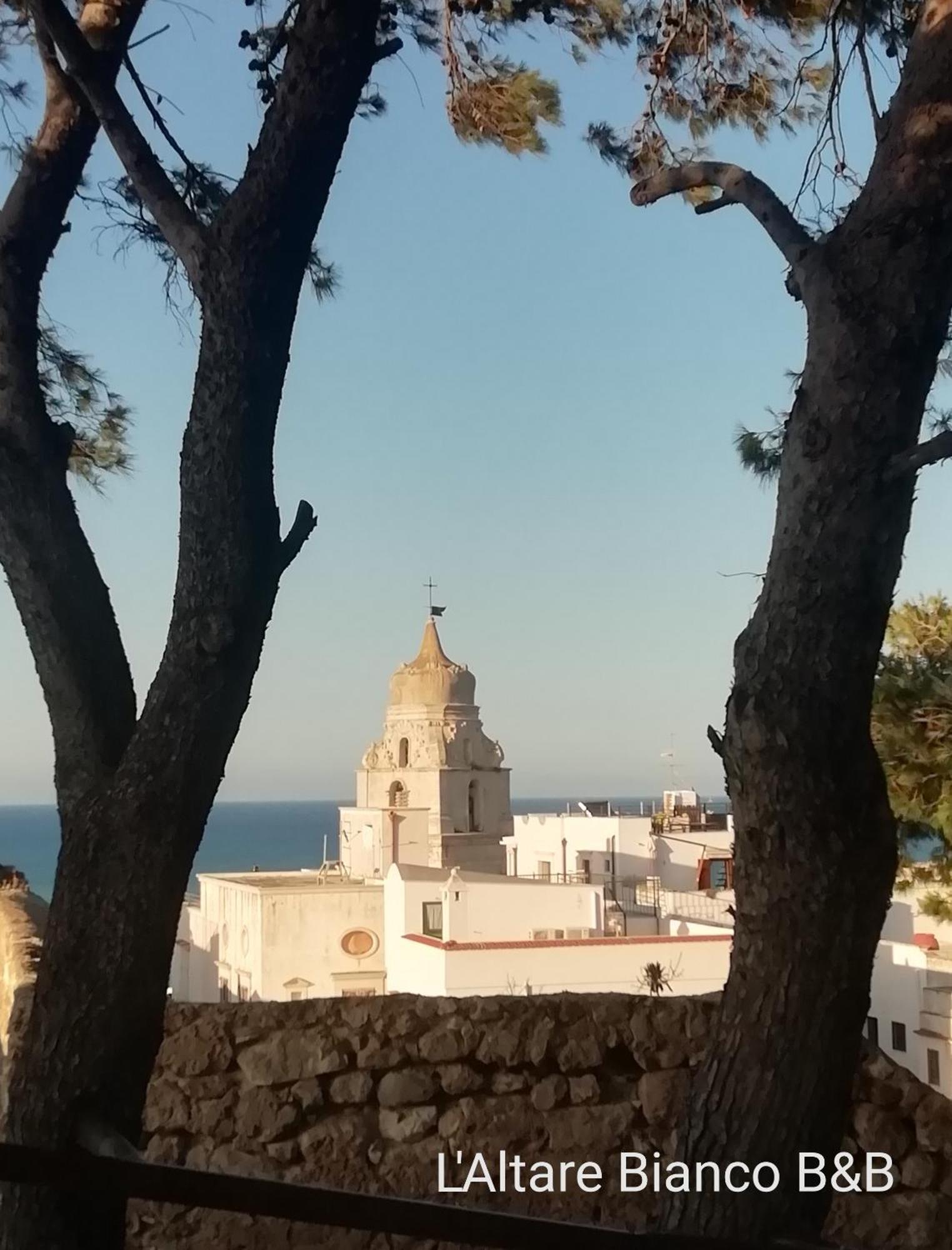 B&B L'Altare Bianco Вьесте Экстерьер фото